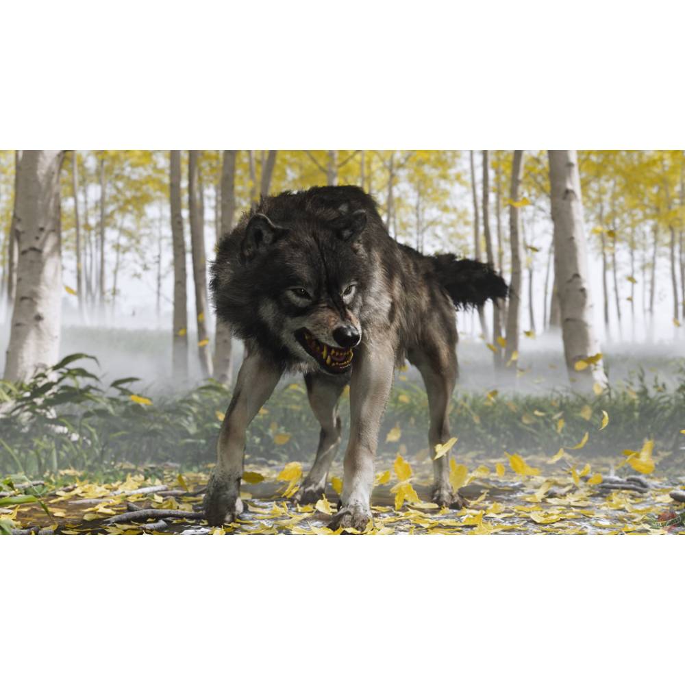 Ghost of Yotei (PS5) (Ghost of Yotei (PS5)) фото 9